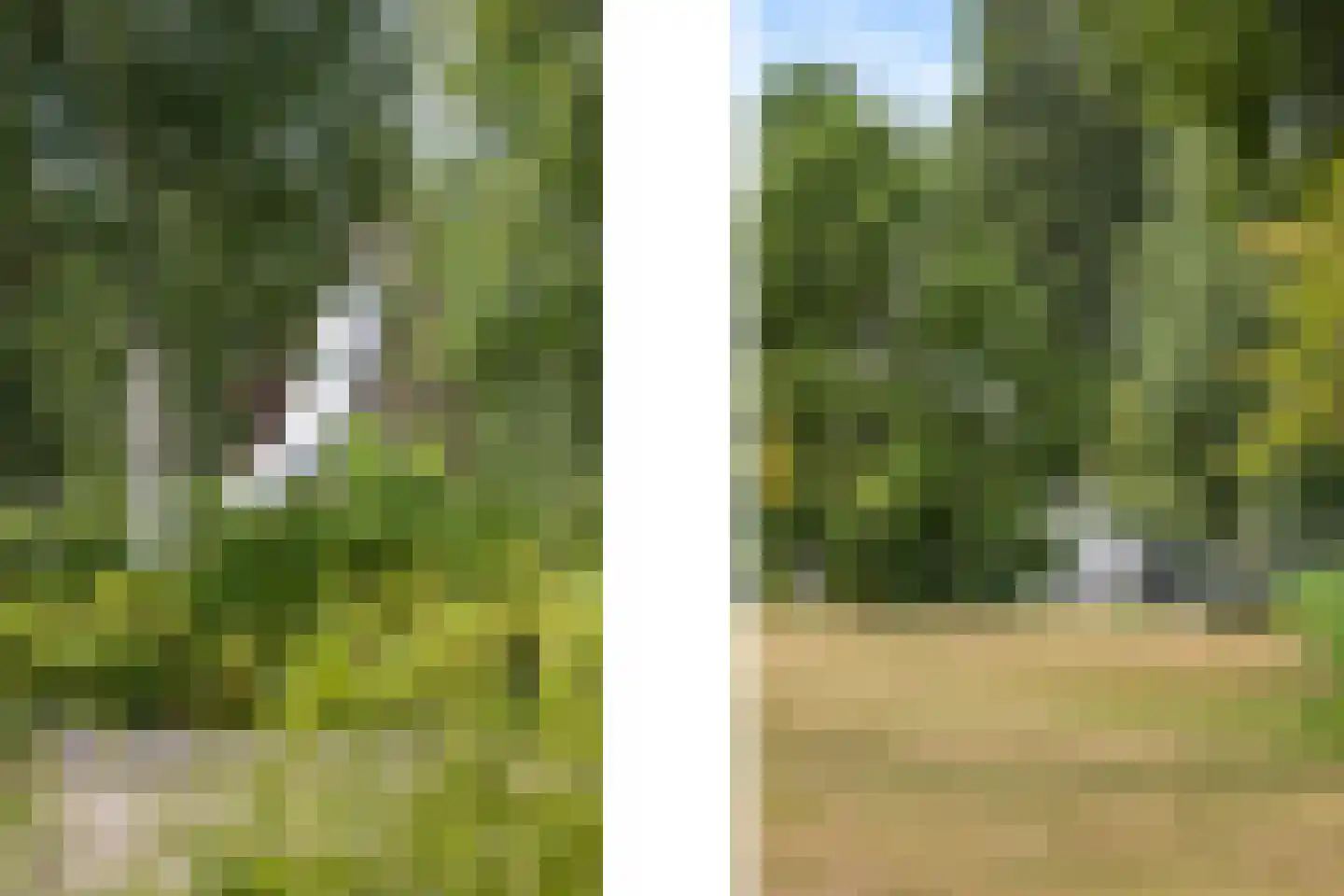 Noordeinde 20 B Rotterdam thumbnail 34