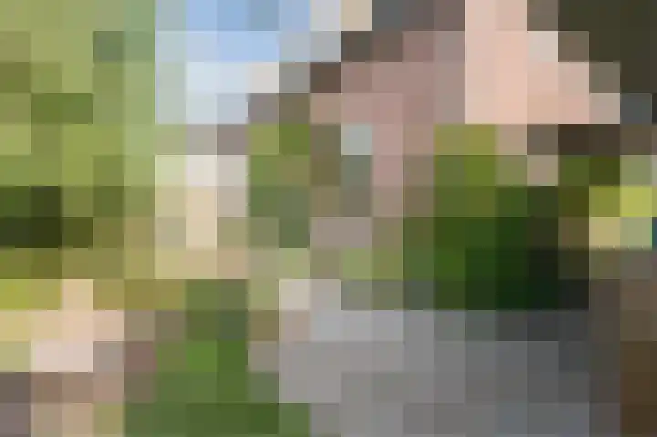 Noordeinde 20 Hoogmade thumbnail 25