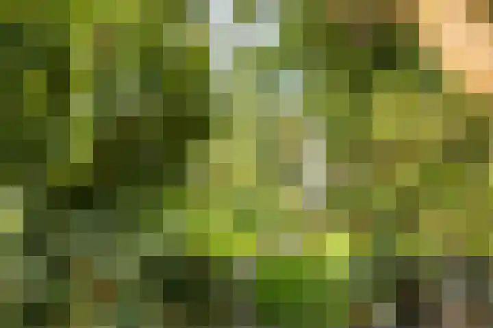 Noordeinde 20 Hoogmade thumbnail 28