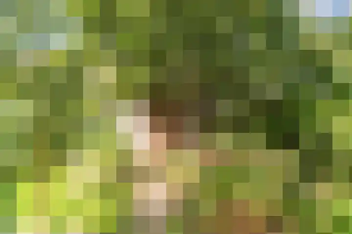 Noordeinde 20 Hoogmade thumbnail 29