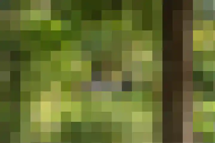 Noordeinde 20 Hoogmade thumbnail 31