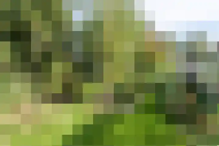 Noordeinde 20 Hoogmade thumbnail 32