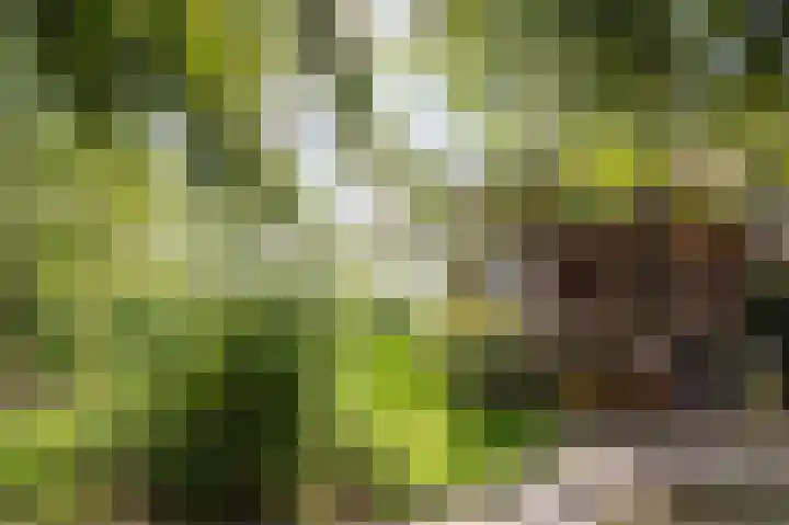 Noordeinde 20 Hoogmade thumbnail 33