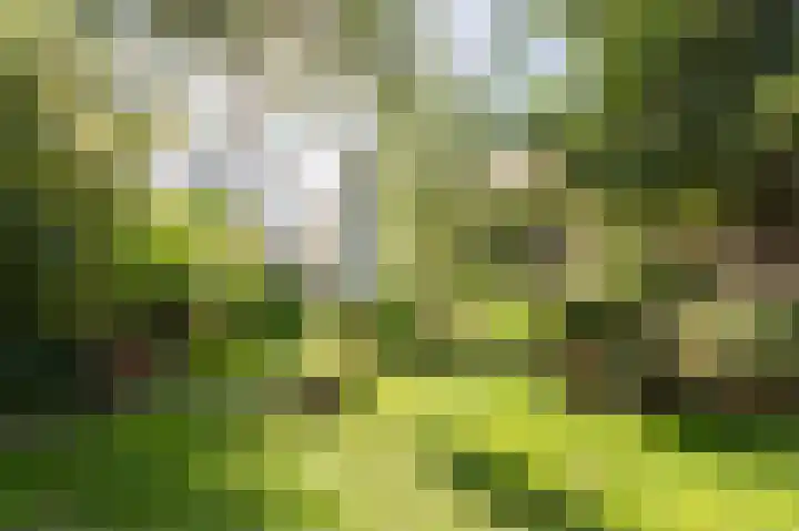 Noordeinde 20 Hoogmade thumbnail 34