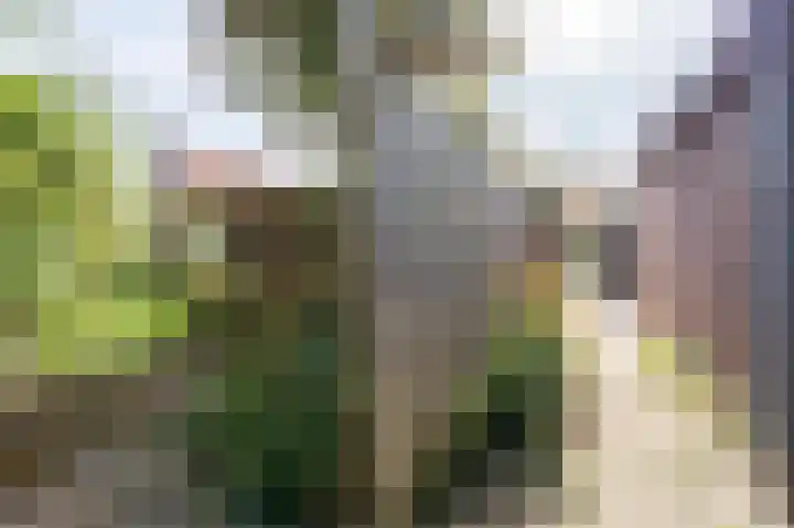 Noordeinde 20 Hoogmade thumbnail 35