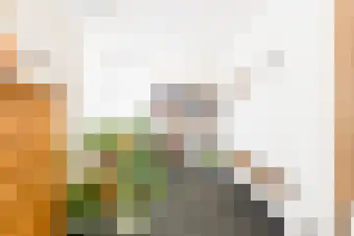 Noordeinde 23 Koudekerke thumbnail 10