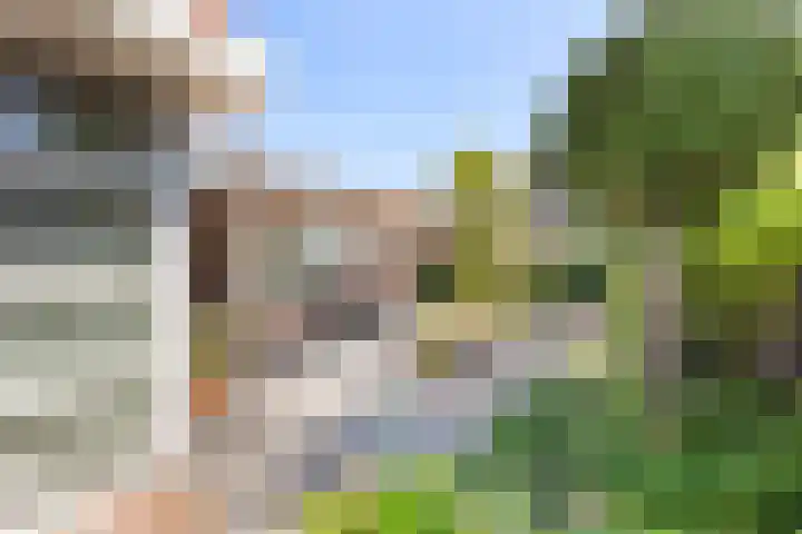 Noordeinde 23 Koudekerke thumbnail 20