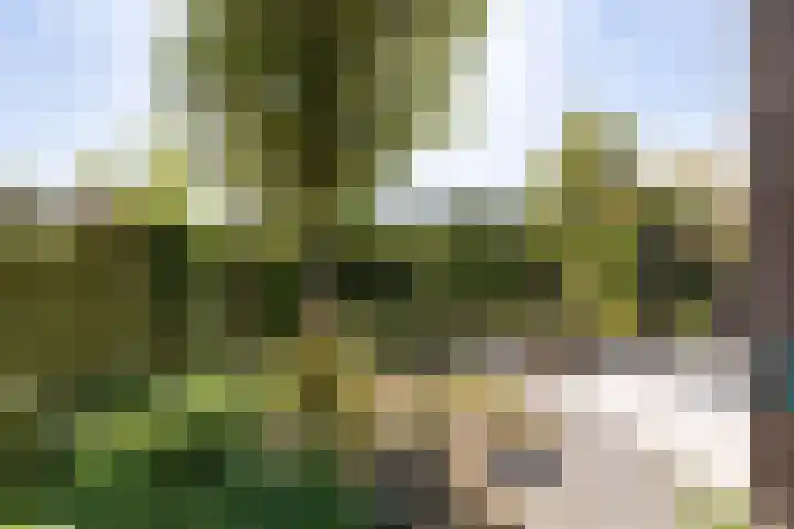 Noordeinde 23 Koudekerke thumbnail 22