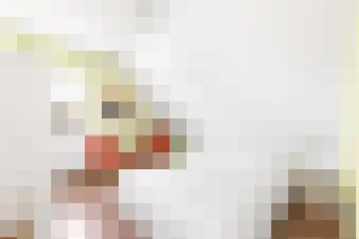 Noordeinde 23 Koudekerke thumbnail 31