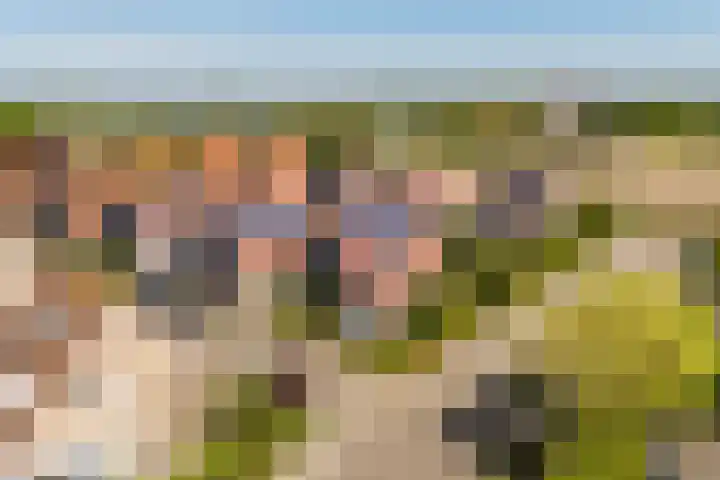 Noordeinde 23 Koudekerke thumbnail 36