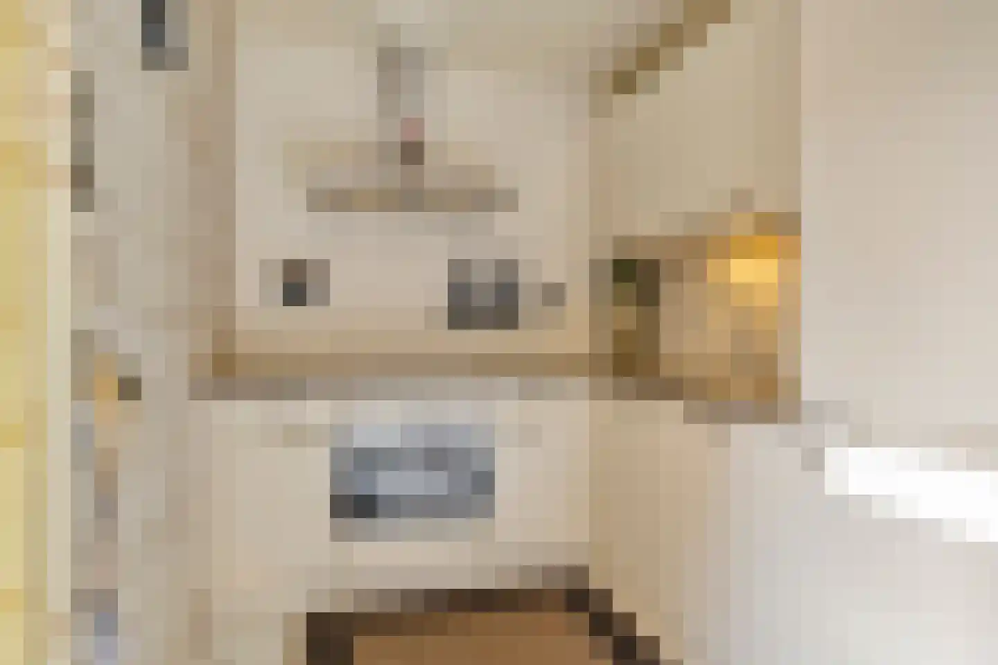 Noordeinde 24 Sprundel thumbnail 10