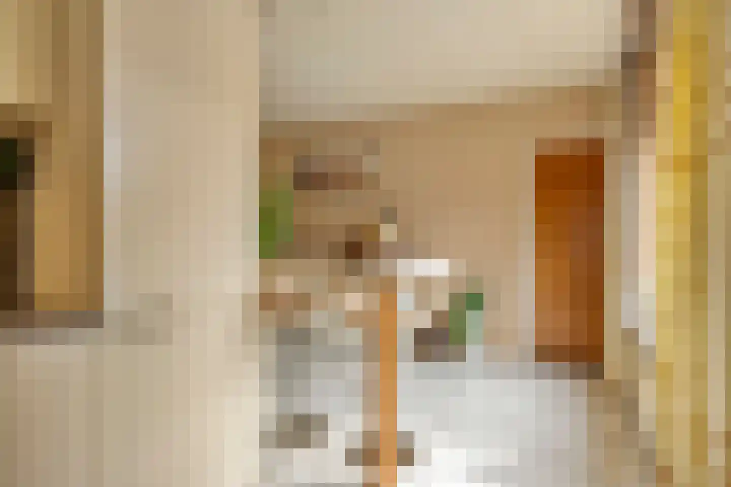Noordeinde 24 Sprundel thumbnail 11