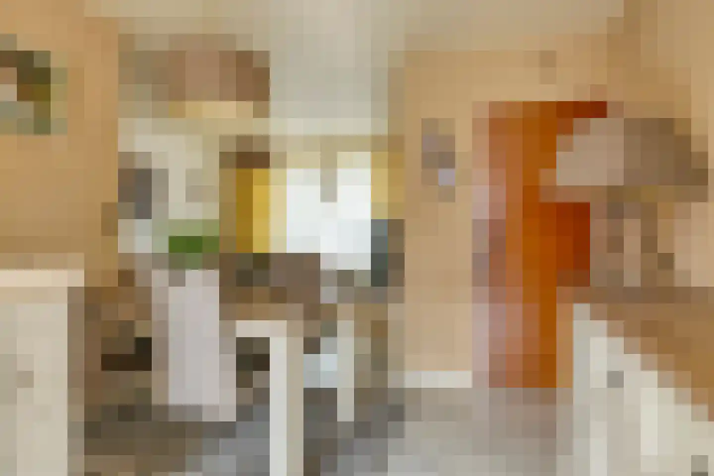 Noordeinde 24 Sprundel thumbnail 12
