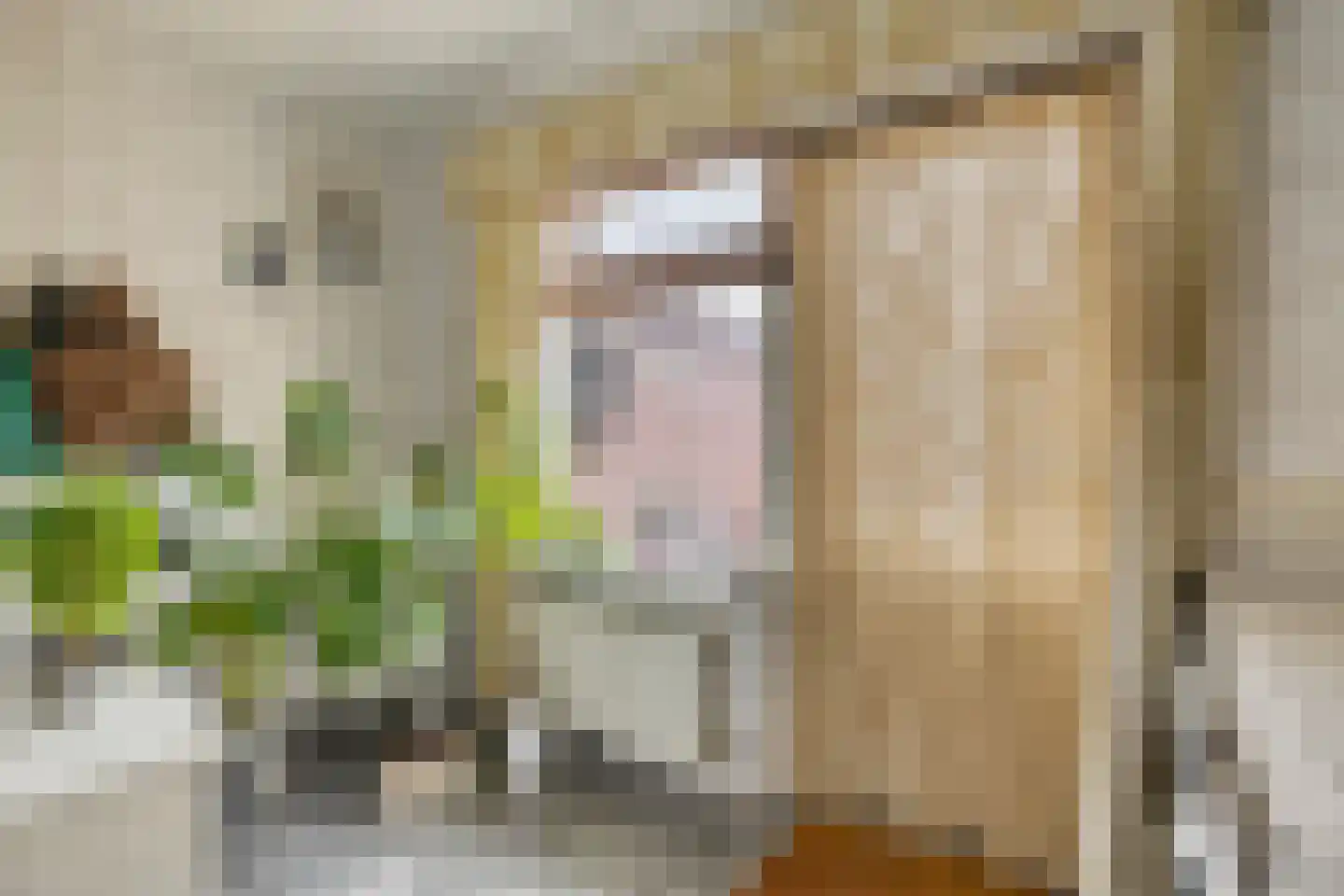 Noordeinde 24 Sprundel thumbnail 13
