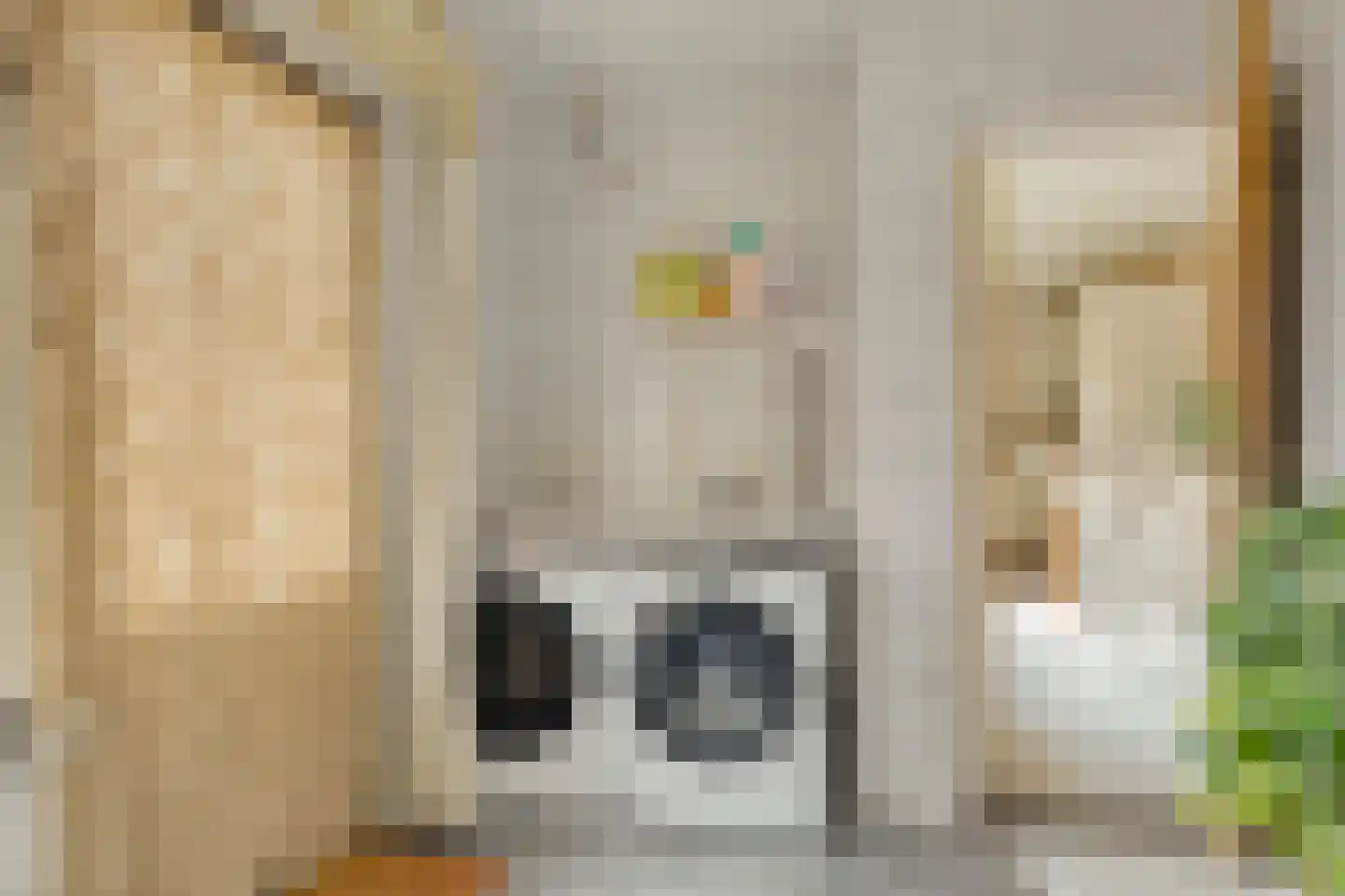 Noordeinde 24 Sprundel thumbnail 14