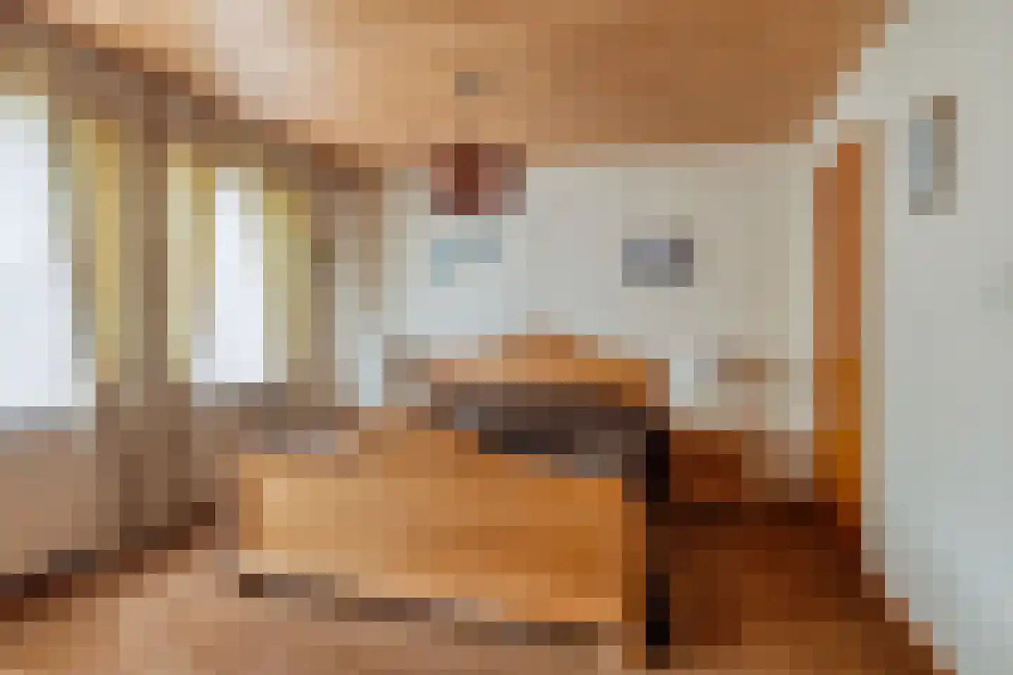 Noordeinde 24 Sprundel thumbnail 17