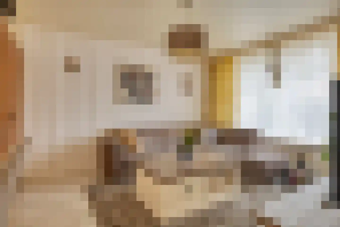 Noordeinde 24 Sprundel thumbnail 6