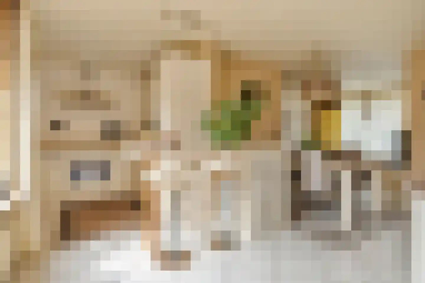 Noordeinde 24 Sprundel thumbnail 9