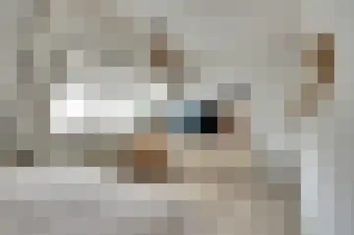 Noordeinde 25 Katwijk thumbnail 30
