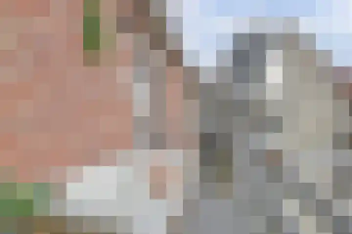 Noordeinde 25 Katwijk thumbnail 9