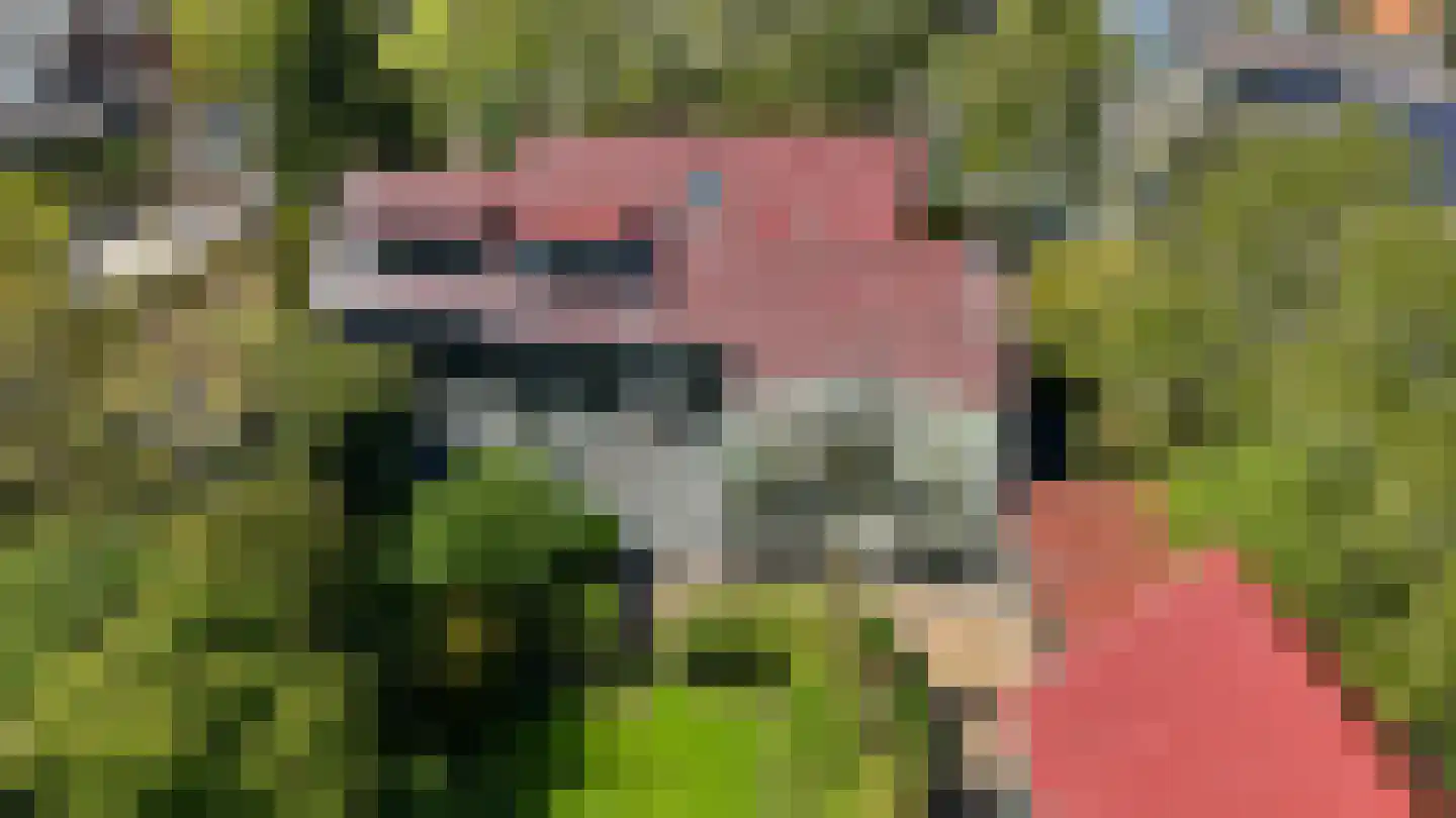Noordeinde 25 Landsmeer