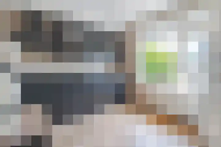 Noordeinde 25 Waddinxveen thumbnail 12