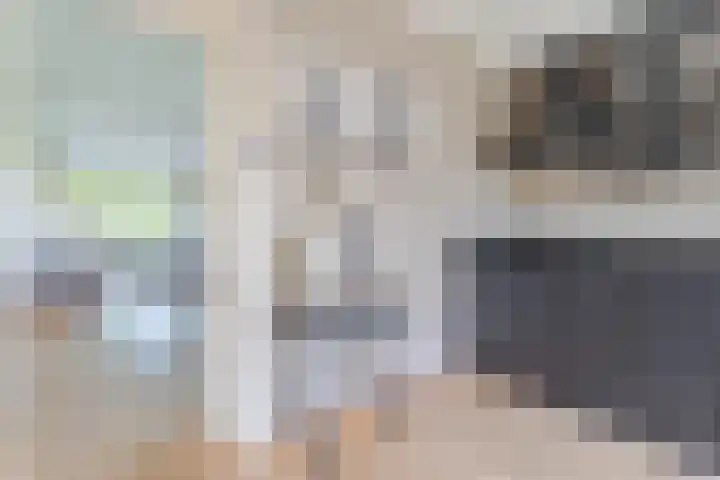 Noordeinde 25 Waddinxveen thumbnail 14