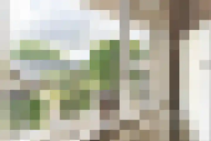 Noordeinde 25 Waddinxveen thumbnail 16