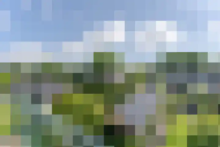 Noordeinde 25 Waddinxveen thumbnail 24