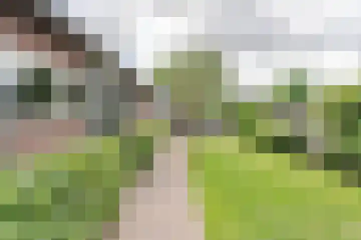 Noordeinde 25 Waddinxveen thumbnail 33