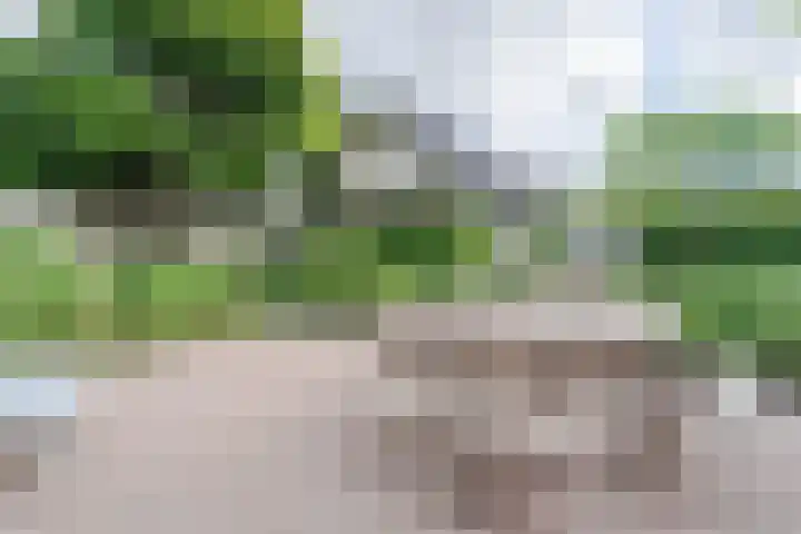 Noordeinde 25 Waddinxveen thumbnail 39