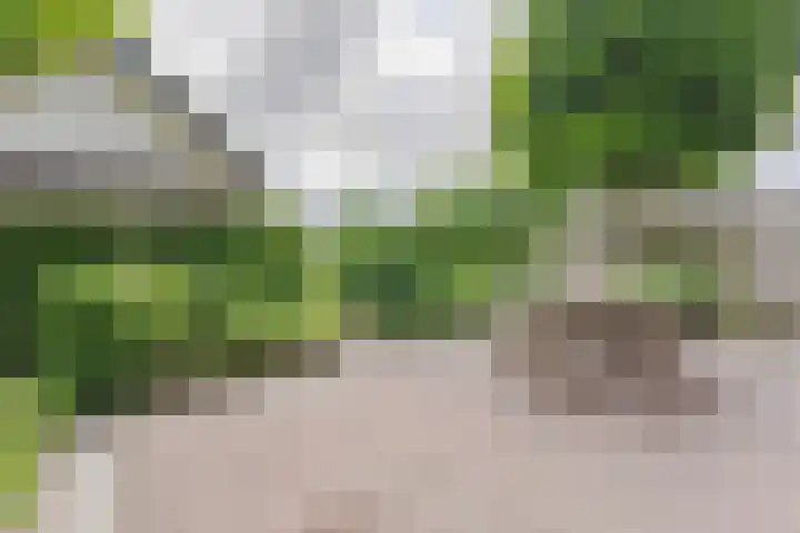 Noordeinde 25 Waddinxveen thumbnail 40