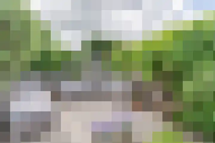 Noordeinde 25 Waddinxveen thumbnail 41