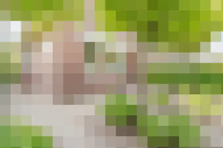 Noordeinde 25 Waddinxveen thumbnail 43