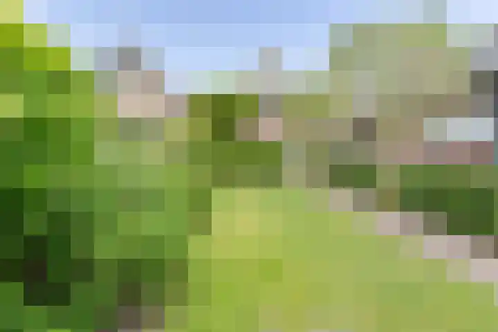 Noordeinde 25 Waddinxveen thumbnail 5