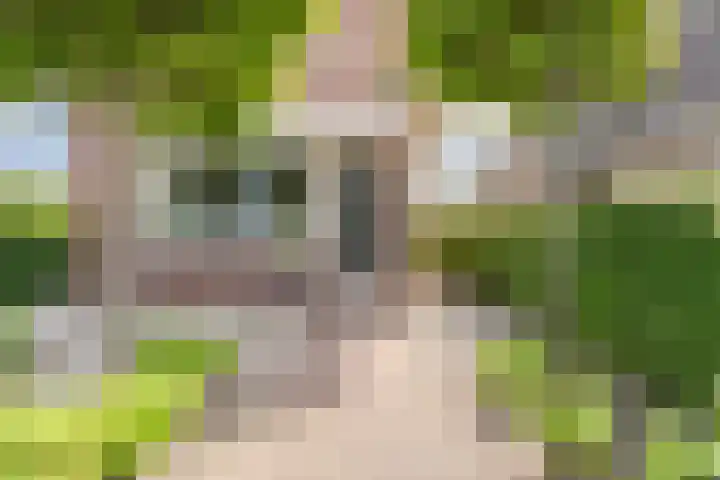 Noordeinde 25 Waddinxveen thumbnail 6