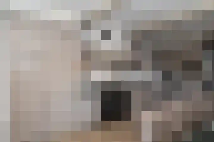 Noordeinde 277 Boskoop thumbnail 14