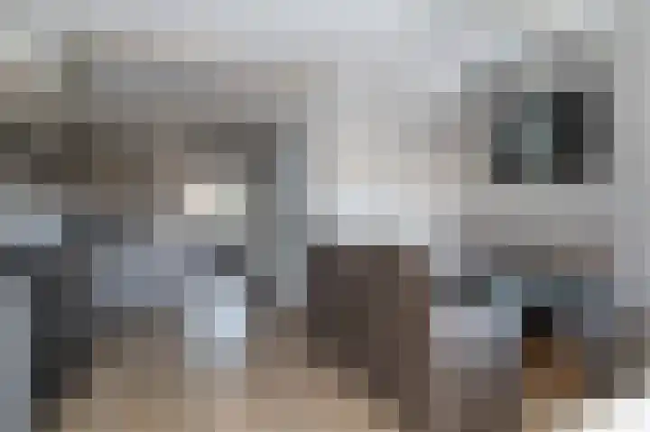 Noordeinde 277 Boskoop thumbnail 15