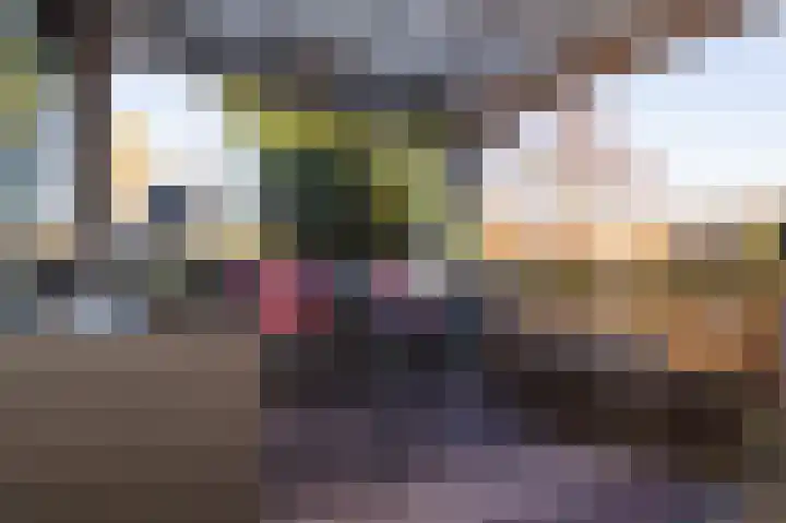 Noordeinde 277 Boskoop thumbnail 17