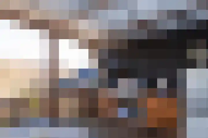 Noordeinde 277 Boskoop thumbnail 18