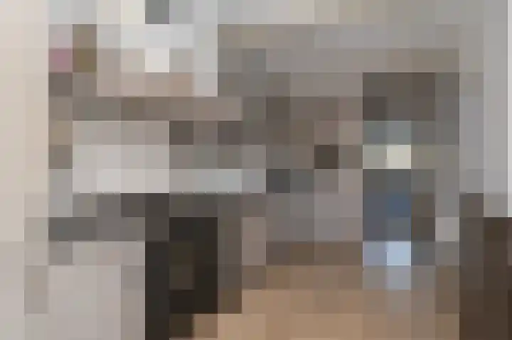 Noordeinde 277 Boskoop thumbnail 20