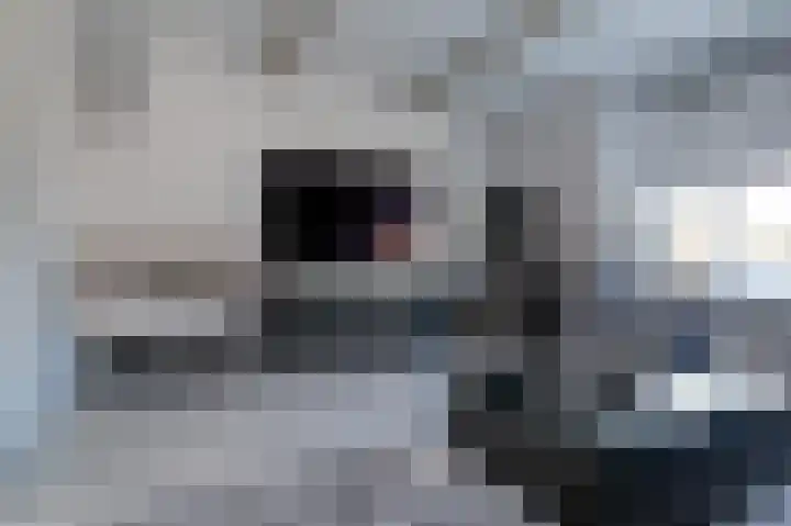 Noordeinde 277 Boskoop thumbnail 21