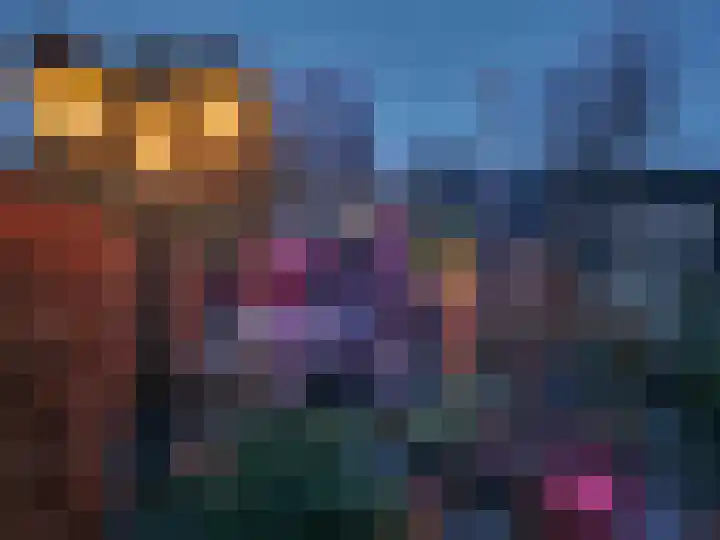 Noordeinde 277 Boskoop thumbnail 40