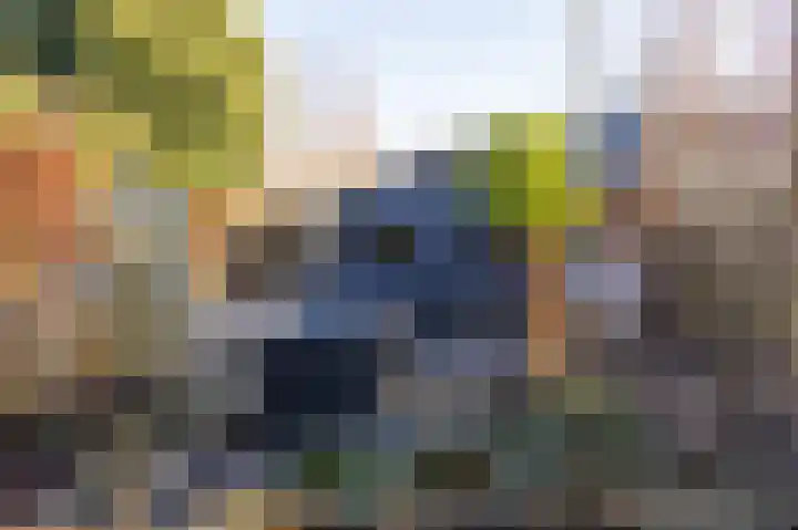 Noordeinde 277 Boskoop thumbnail 5