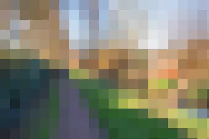 Noordeinde 277 Boskoop thumbnail 7