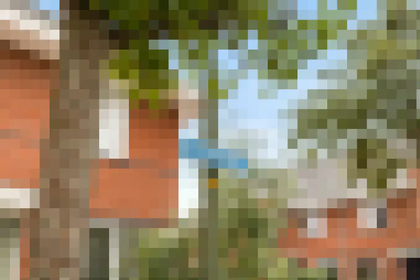 Noordeinde 28 Bleiswijk