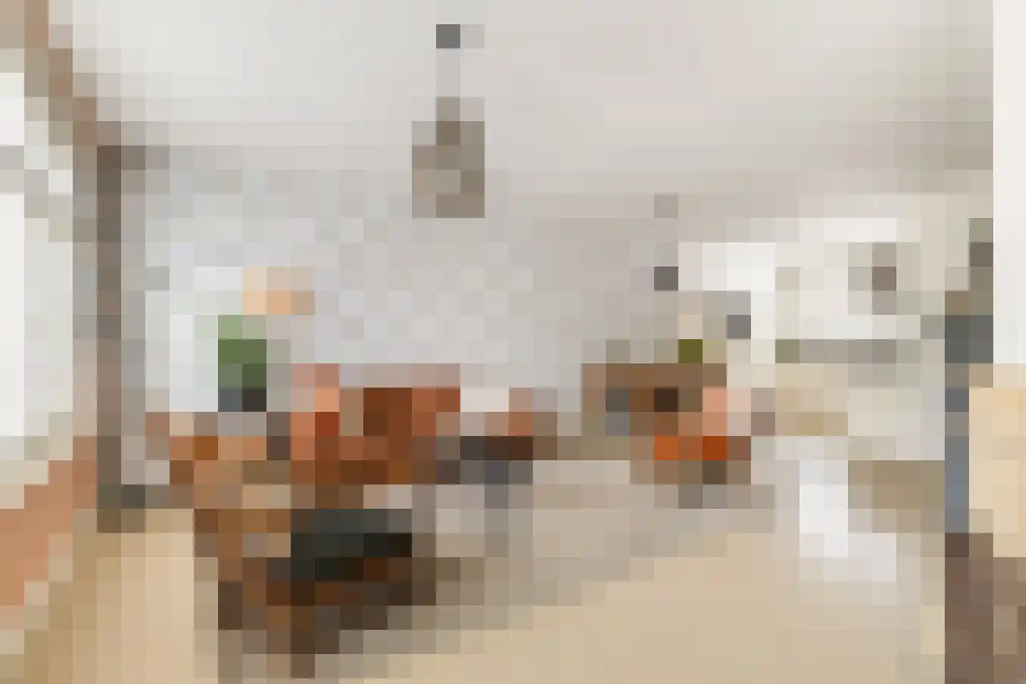 Noordeinde 28 Bleiswijk thumbnail 11