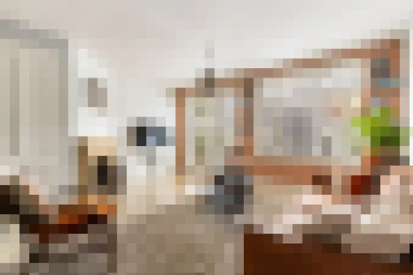 Noordeinde 28 Bleiswijk thumbnail 12