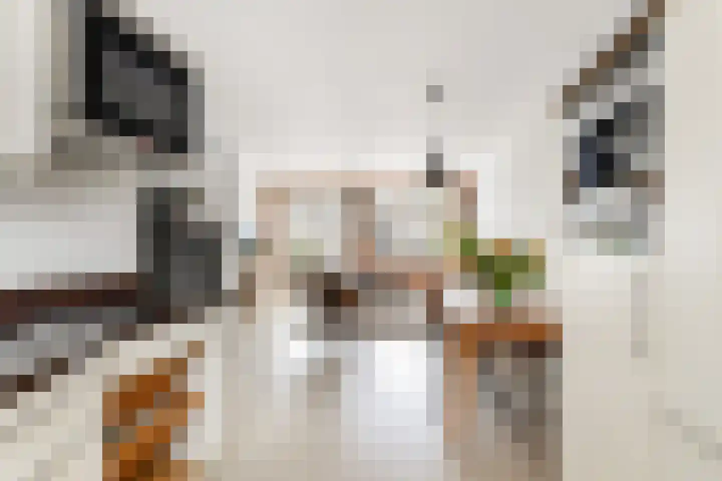Noordeinde 28 Bleiswijk thumbnail 22