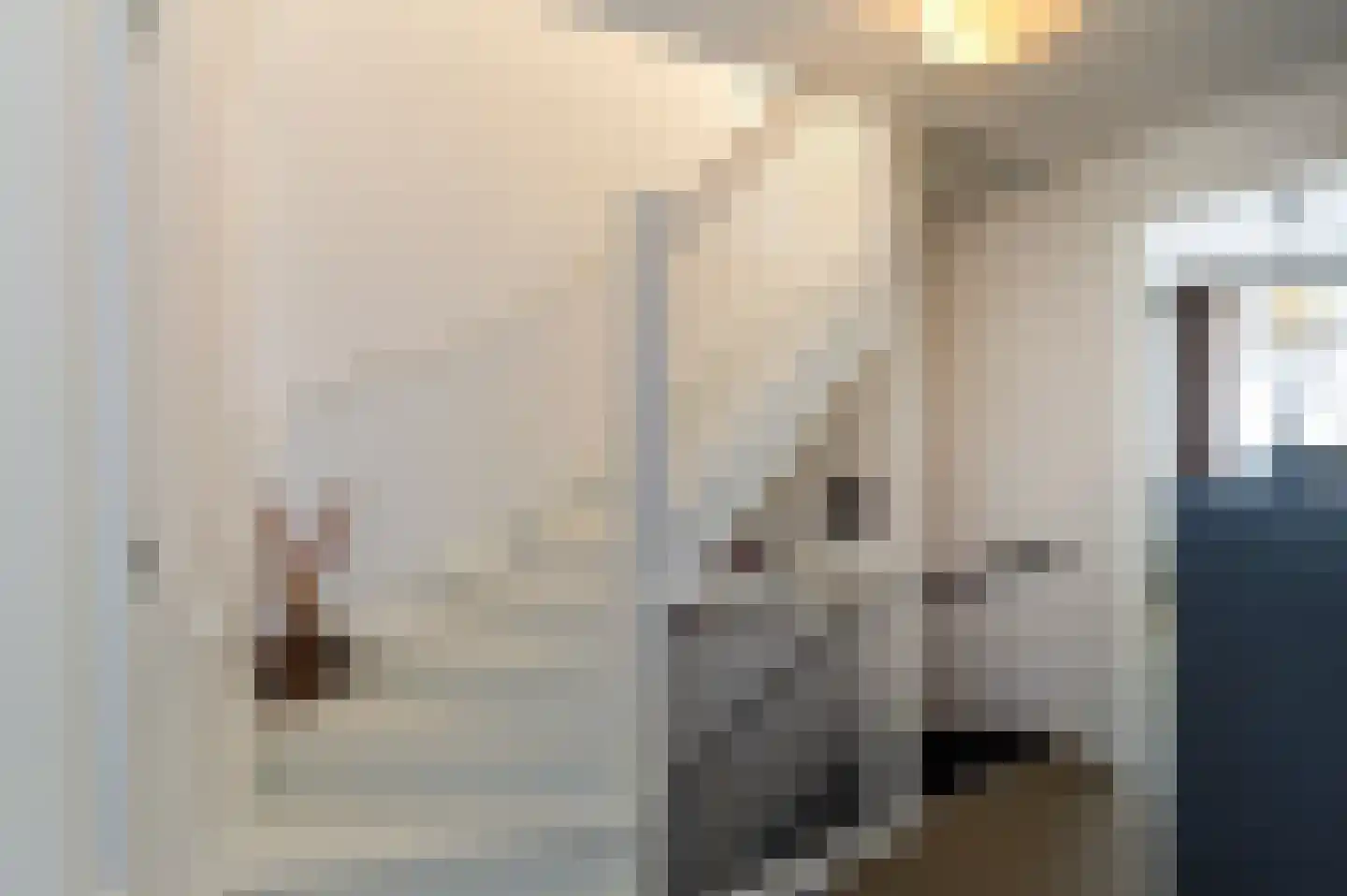Noordeinde 28 Bleiswijk thumbnail 23